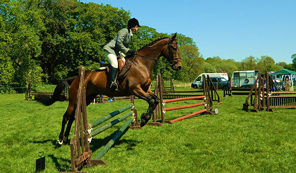 Equestrian insurance, onlinetravelcover.com